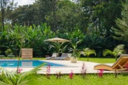 Tanzania Safari Lodge