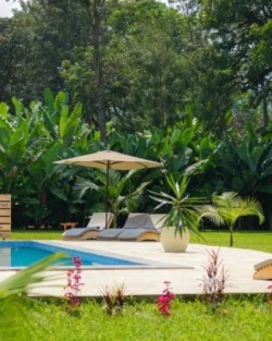 Tanzania Safari Lodge
